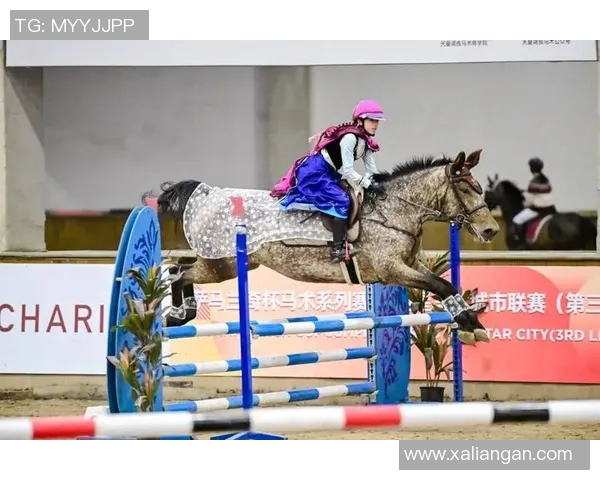 足球明星与马术的精彩碰撞全景视频合集尽享运动魅力与激情瞬间