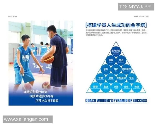 篮球明星投篮卡片的魅力与收藏价值探讨，了解如何选择与投资篮球卡片